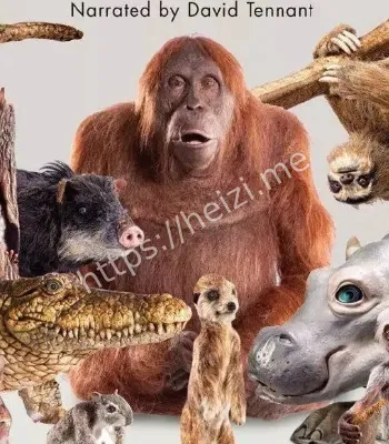 高中生野生动物纪录片