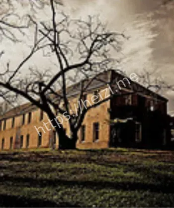 新西兰王席特精神病院